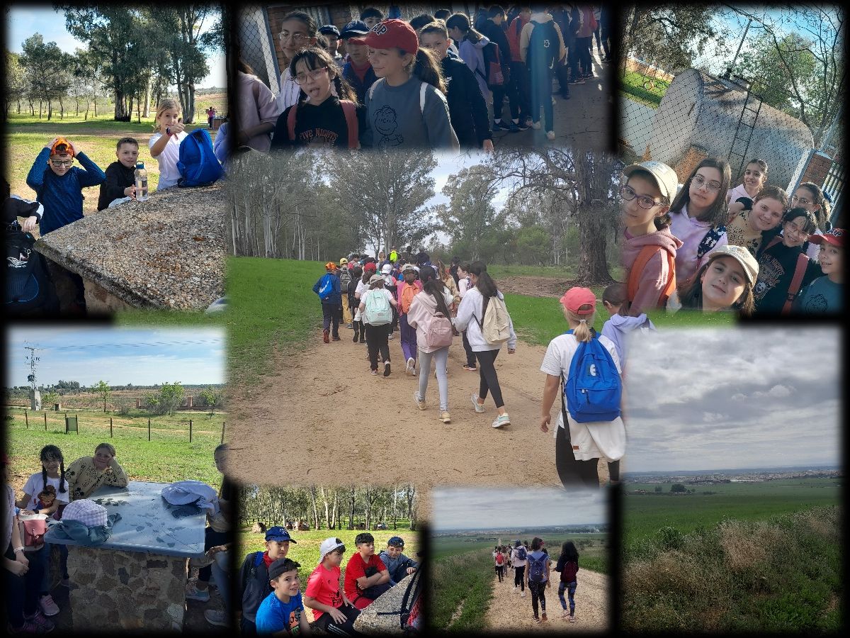 collage